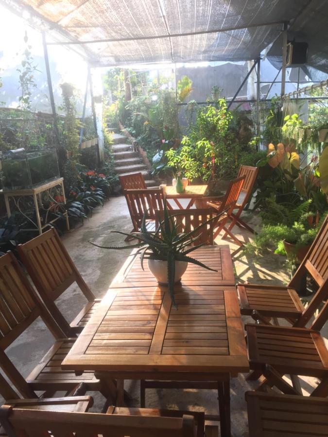 Tuyet Hoa Hon Bo Homestay Dalat Exterior foto