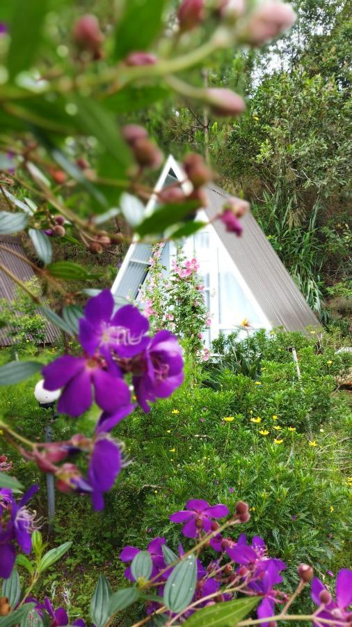 Tuyet Hoa Hon Bo Homestay Dalat Exterior foto