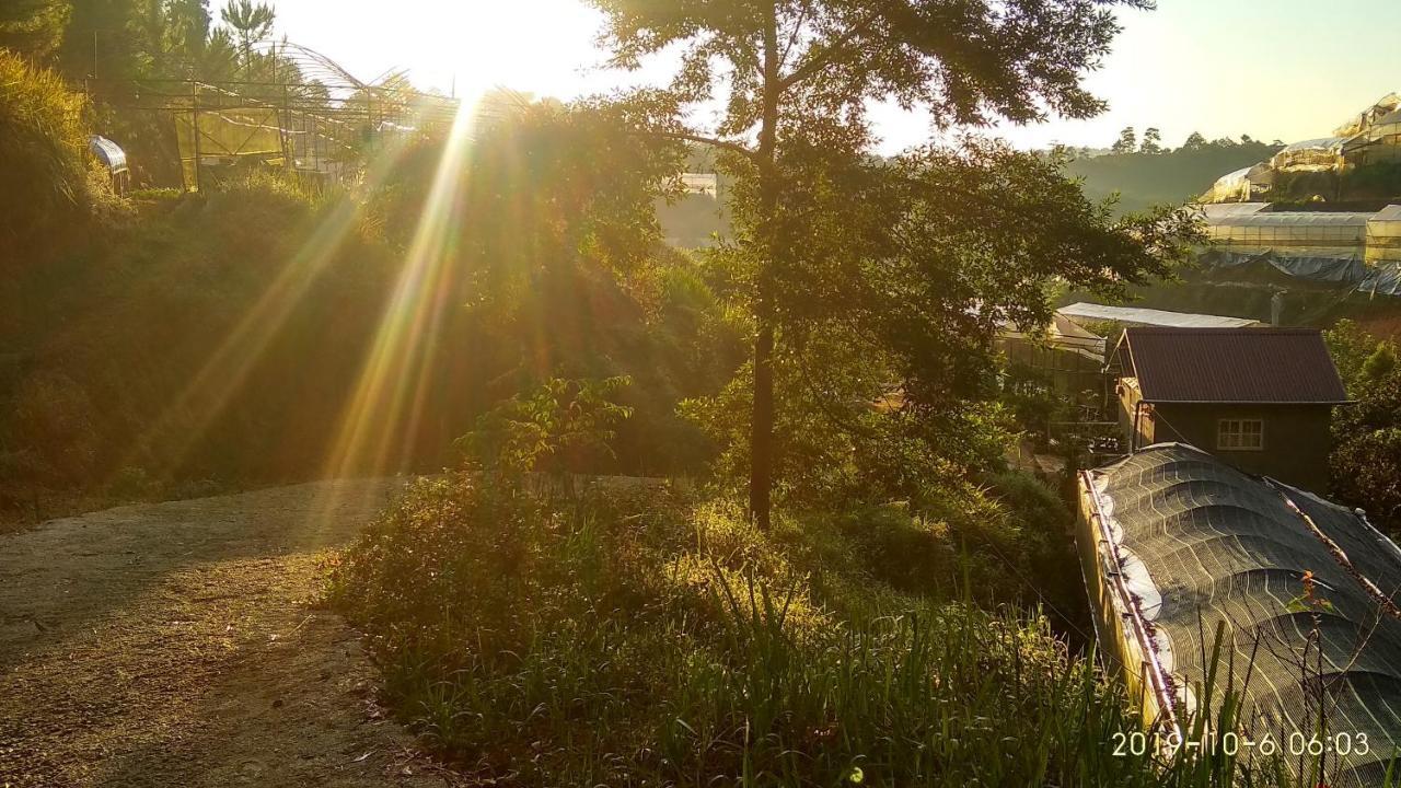 Tuyet Hoa Hon Bo Homestay Dalat Exterior foto