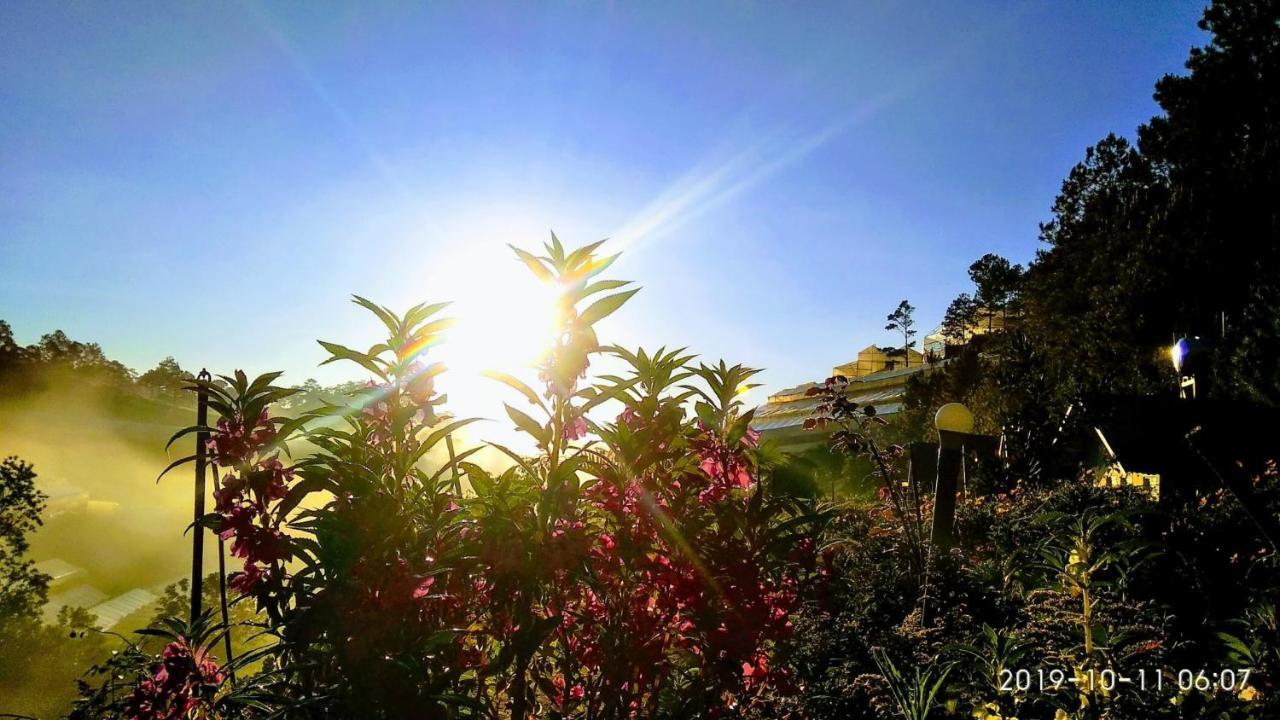 Tuyet Hoa Hon Bo Homestay Dalat Exterior foto